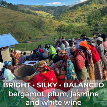 Burundi Ngozi Bahire Washed